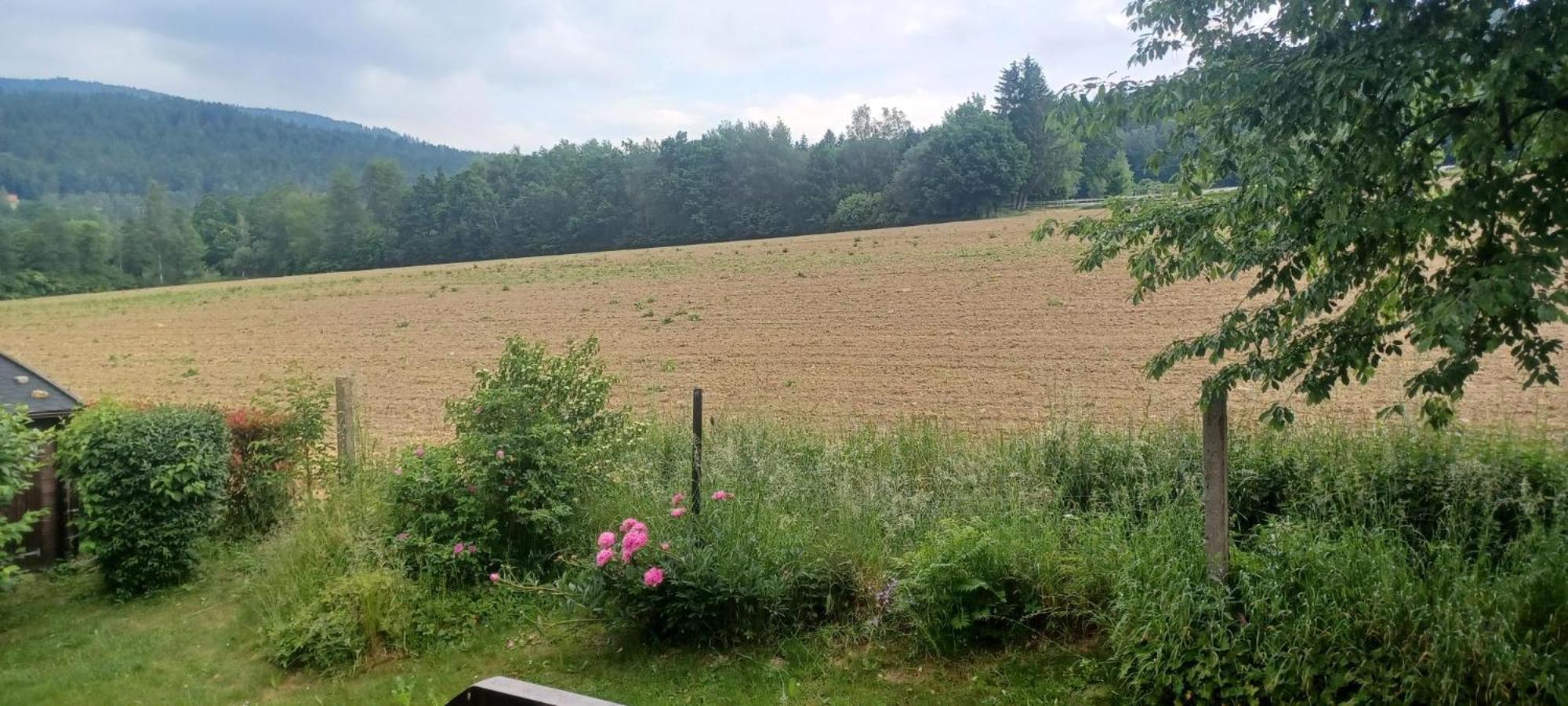 Ferienwohnung Rihm Arrach Zewnętrze zdjęcie