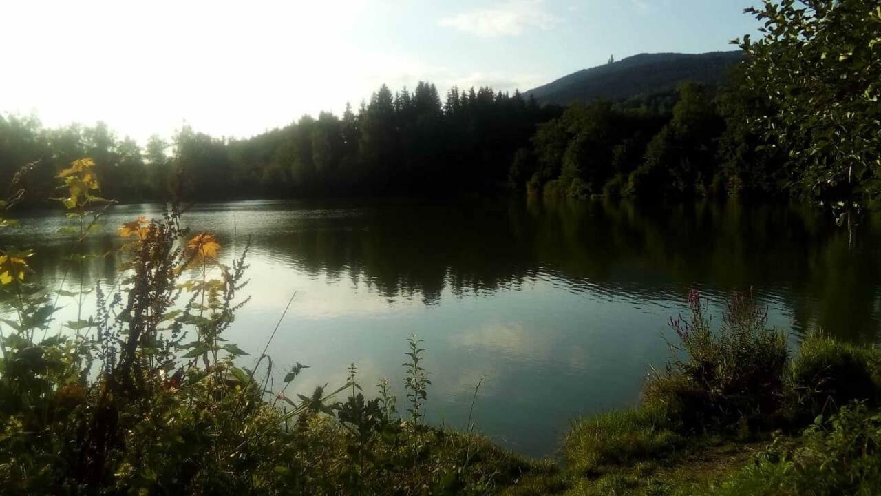 Ferienwohnung Rihm Arrach Zewnętrze zdjęcie